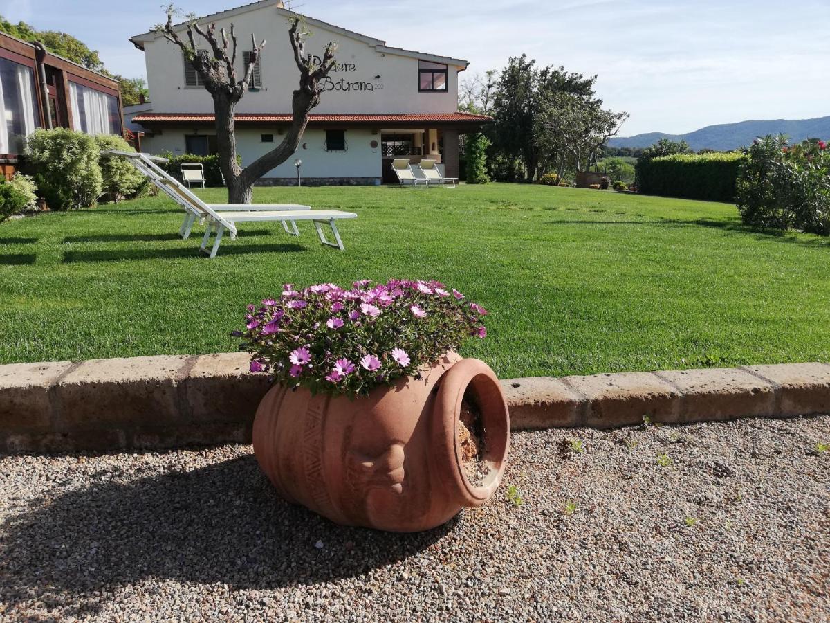 Agriturismo Diaccia Botrona Castiglione della Pescaia Esterno foto